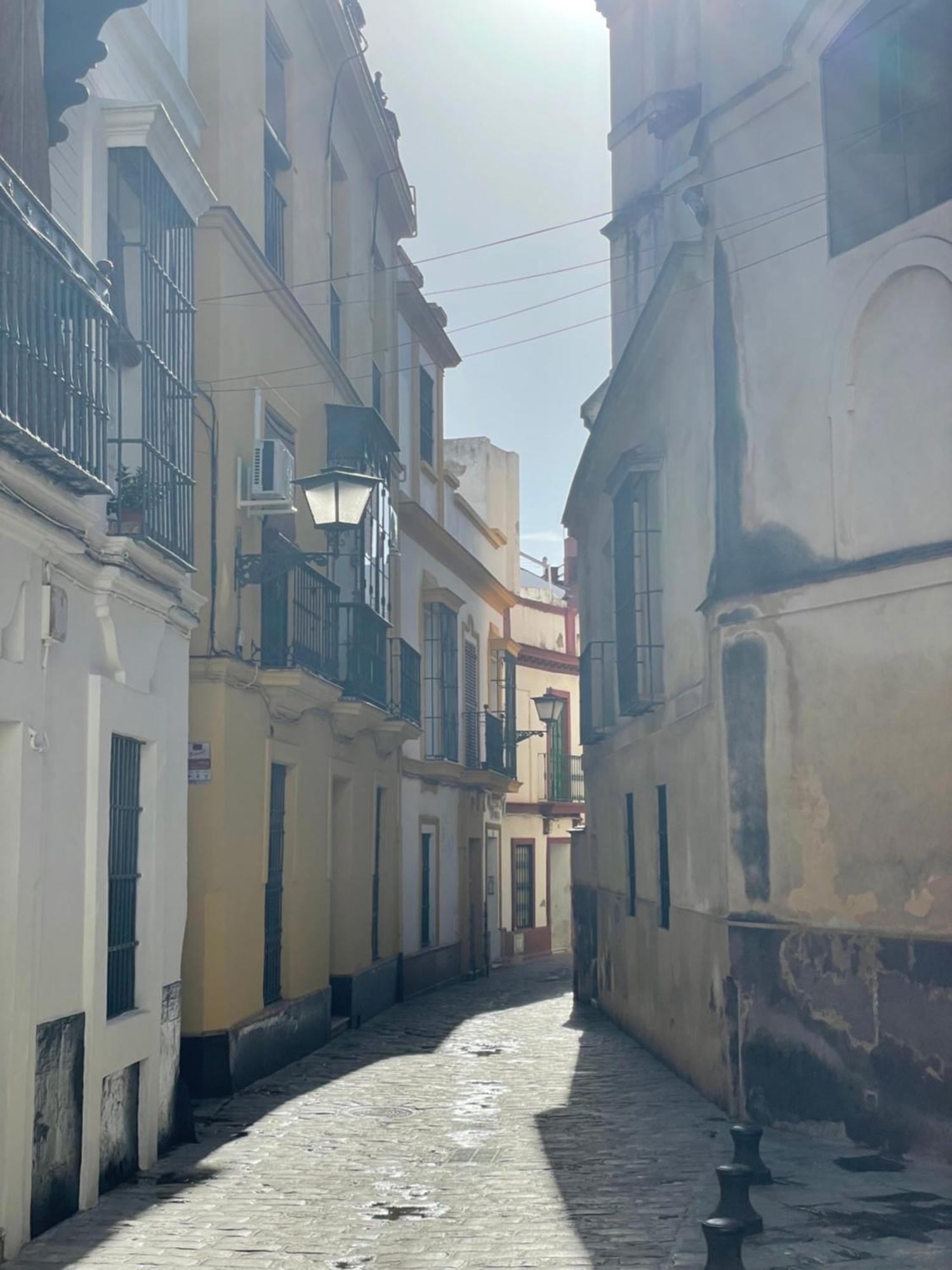 Sevilla Centro-Casco Antiguo -Vidrio 36 المظهر الخارجي الصورة