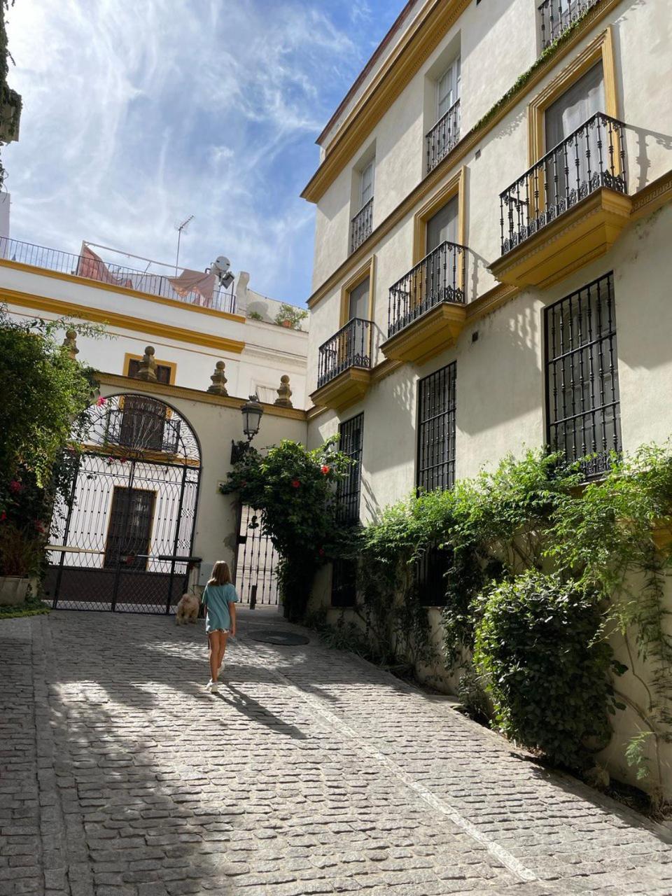 Sevilla Centro-Casco Antiguo -Vidrio 36 المظهر الخارجي الصورة